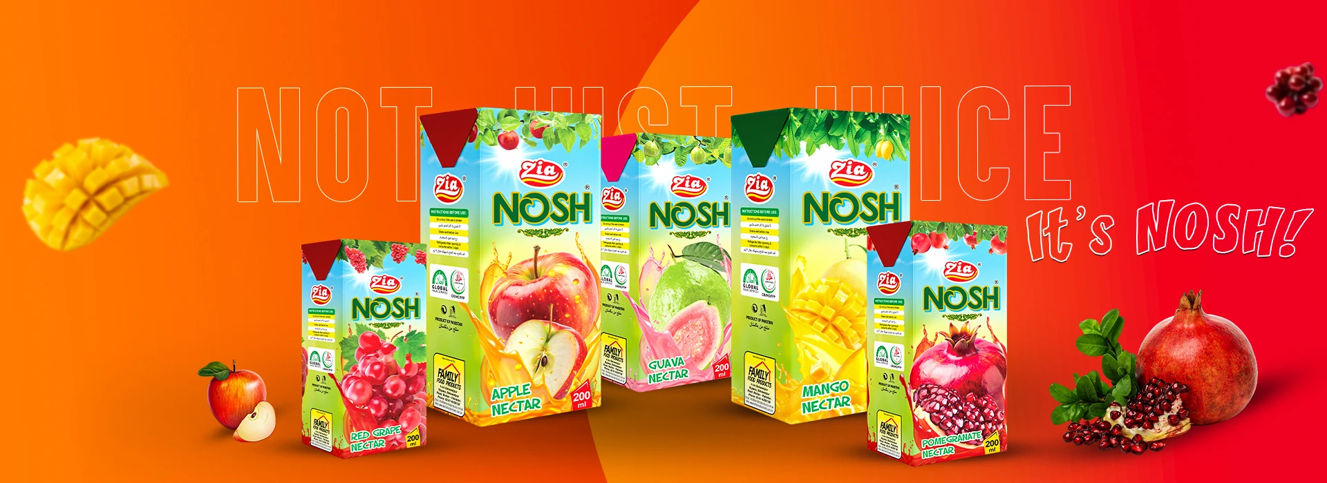 nooshbanner for websiteqqqq (1)